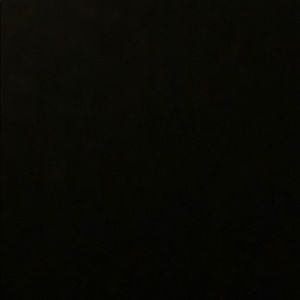 Meet your Posher, Bailey